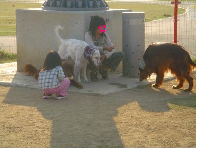 img20061030_3.jpg