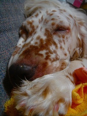 img20070831.jpg