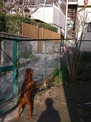 img20080303.jpg