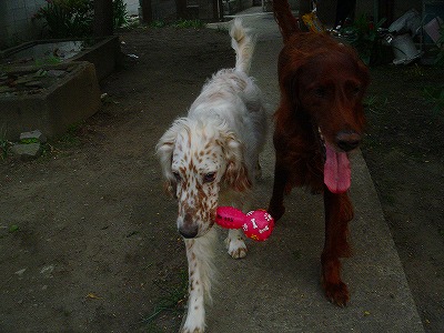 img20070427_5.jpg