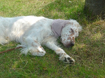 img20070527_5.jpg