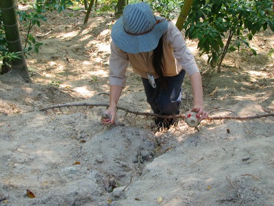 img20060927_3.jpg
