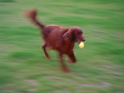 img20060729.jpg