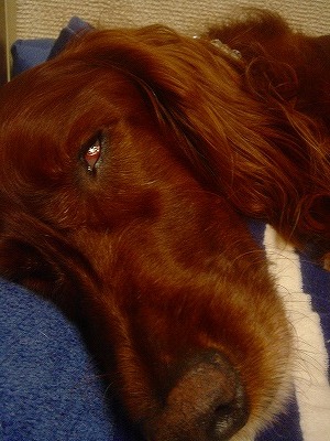 img20070930_1.jpg