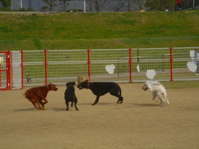 img20070329_2.jpg