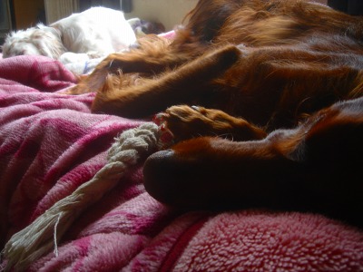 img20070225.jpg