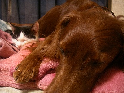 img20080130.jpg
