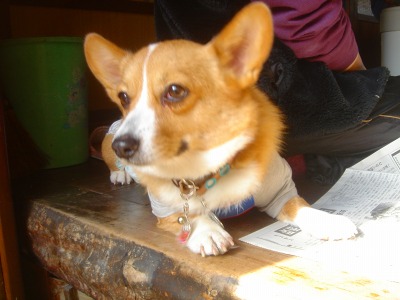 img20070128.jpg