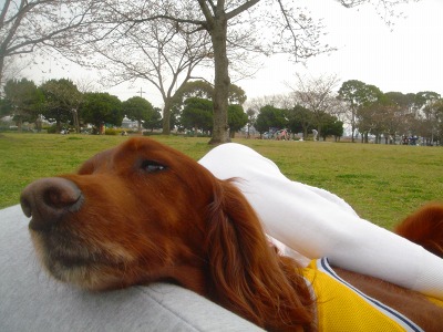 img20070401_1.jpg