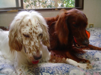 img20060828_1.jpg