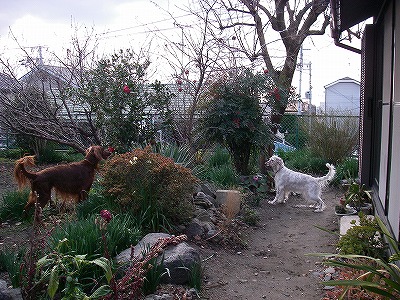 img20080126.jpg