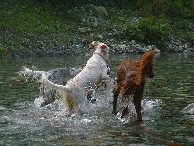img20070928_6.jpg