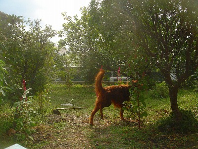 img20070830.jpg