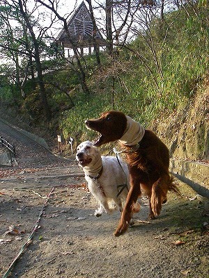 img20071227_4.jpg