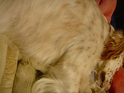 img20070531.jpg
