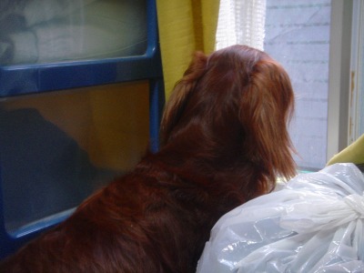 img20061127.jpg