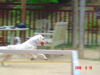 img20060830.jpg