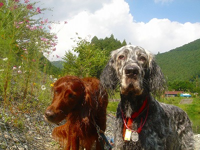 img20070928_9.jpg