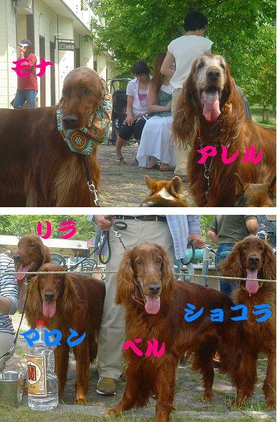 img20070528_1.jpg