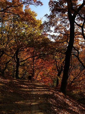 img20071201_3.jpg