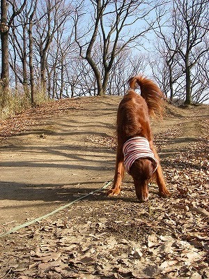 img20080303_1.jpg