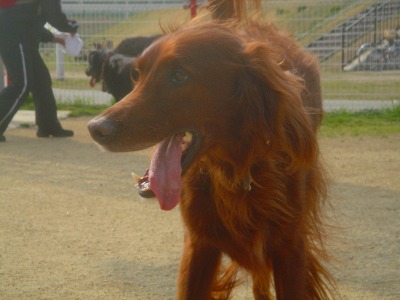 img20070329_1.jpg