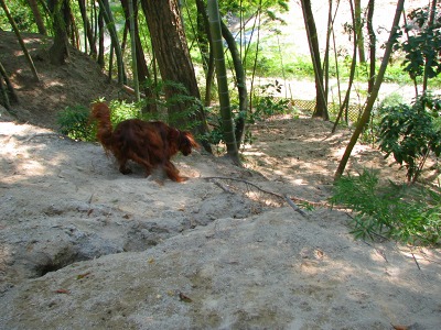 img20060927_2.jpg