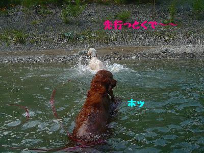 img20070930_3.jpg