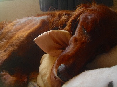 img20070728_1.jpg