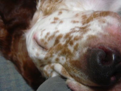 img20061001.jpg