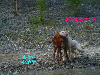 img20070930_4.jpg