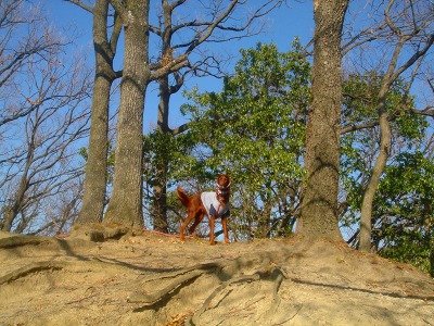 img20070130_5.jpg