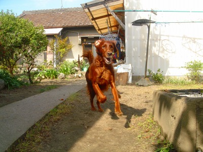 img20061028_2.jpg