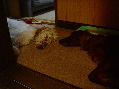 img20070702.jpg