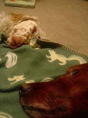 img20070930_2.jpg