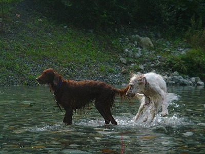 img20070928_4.jpg
