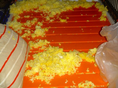 img20061029.jpg