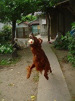 img20070630_8.jpg