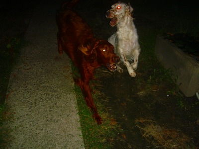 img20060830.jpg