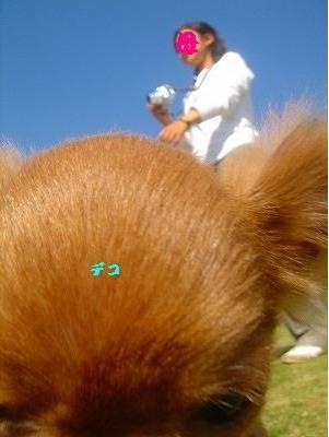 img20070430_8.jpg