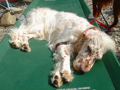 img20070829.jpg