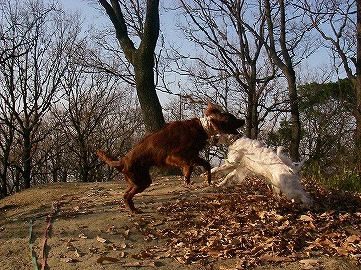 img20071227_3.jpg