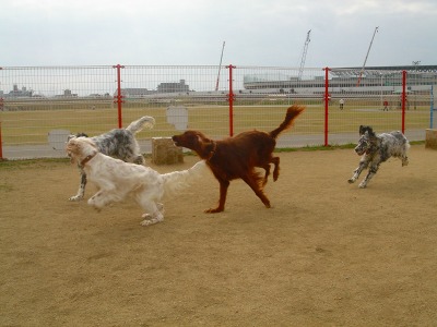 img20070227_4.jpg