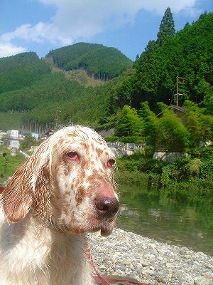 img20070928_8.jpg