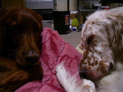 img20071127.jpg