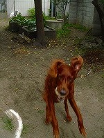 img20070630_6.jpg