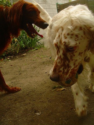 img20070630_9.jpg