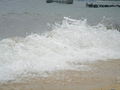 img20070614_3.jpg