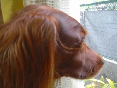 img20061127_1.jpg
