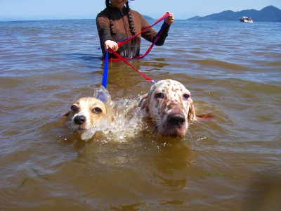 img20060926_4.jpg